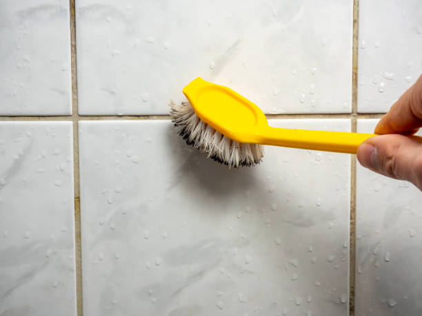 Home Mold Removal in Old Greenwich, CT