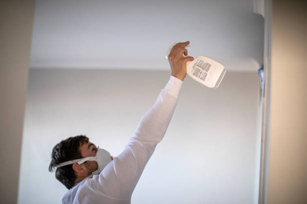 Certified Mold Removal in Old Greenwich, CT
