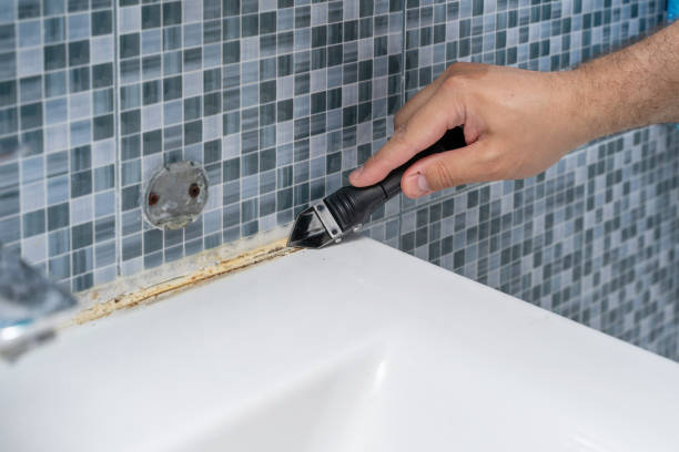 Best Emergency Mold Removal  in Old Greenwich, CT